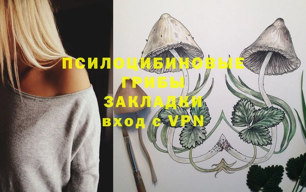 круглые Алзамай