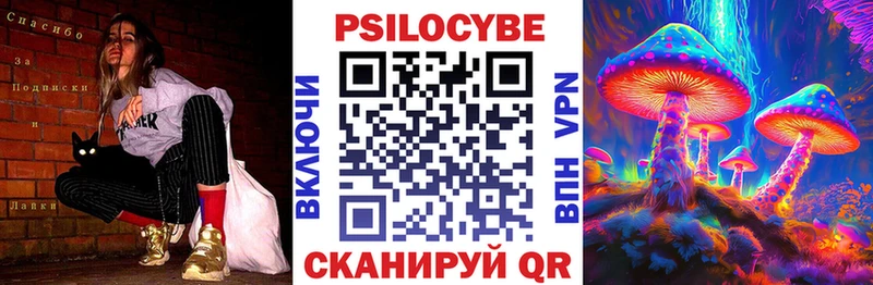магазин    Алупка  Галлюциногенные грибы Psilocybine cubensis 